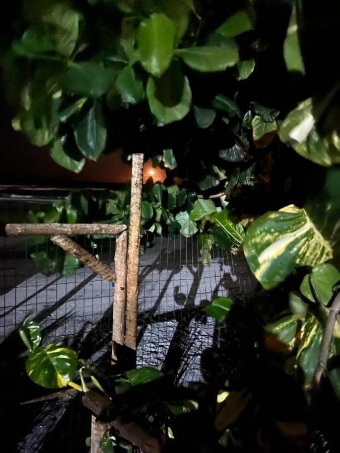 Vila Dos Gnomos Paraiso Mistico Pe Na Areia Ilhéus Zewnętrze zdjęcie